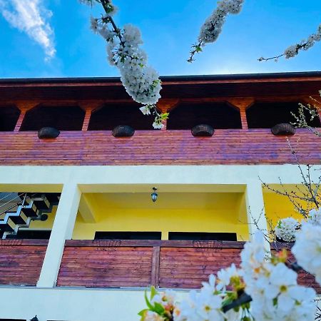 杜博瓦乡 Casa Camelia酒店 外观 照片