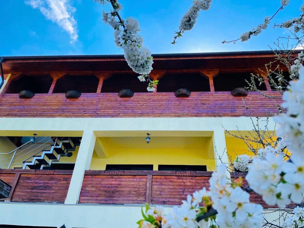 杜博瓦乡 Casa Camelia酒店 外观 照片